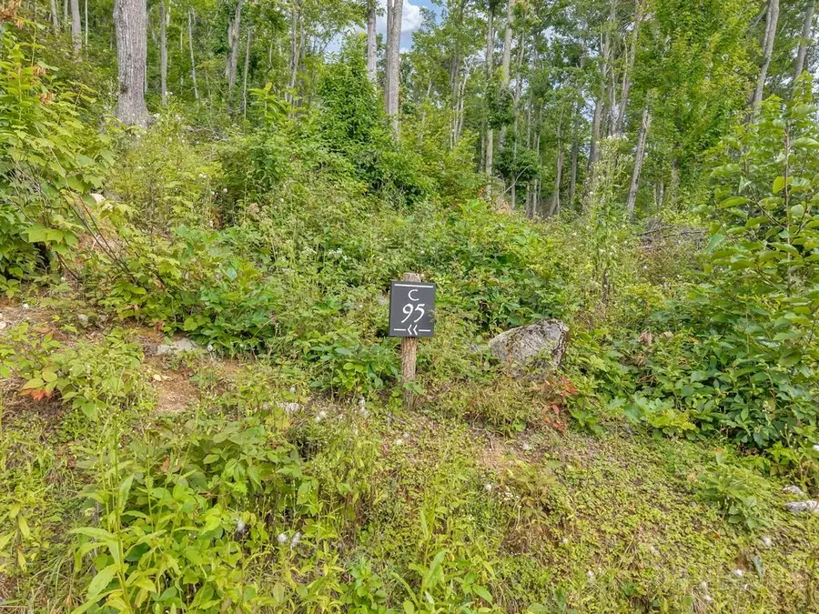 C-95 Foxfire Road, Banner Elk, NC 28604 - #2