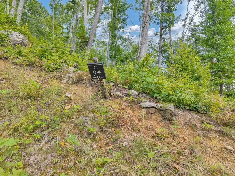 C-94 & C-95 Foxfire Road, Banner Elk, NC 28604 - #2