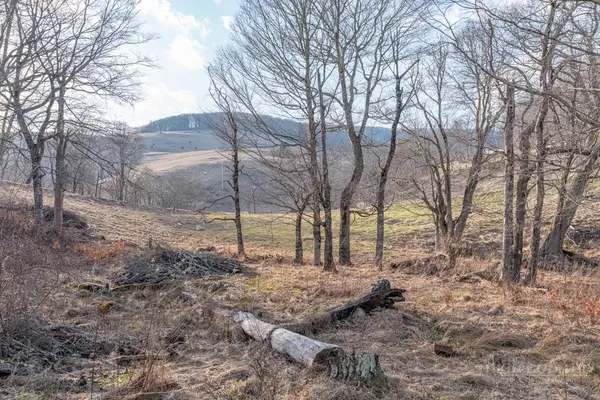 26 Great Sky Drive, Banner Elk, NC 28604