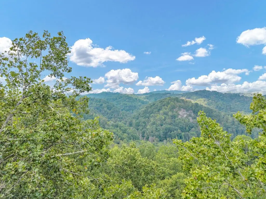 TBD Big Rock Drive, Elk Park, NC 28622 - #1
