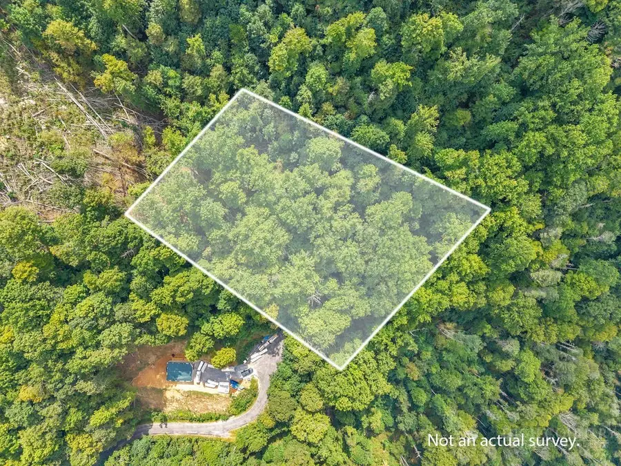 TBD Big Rock Drive, Elk Park, NC 28622 - #2