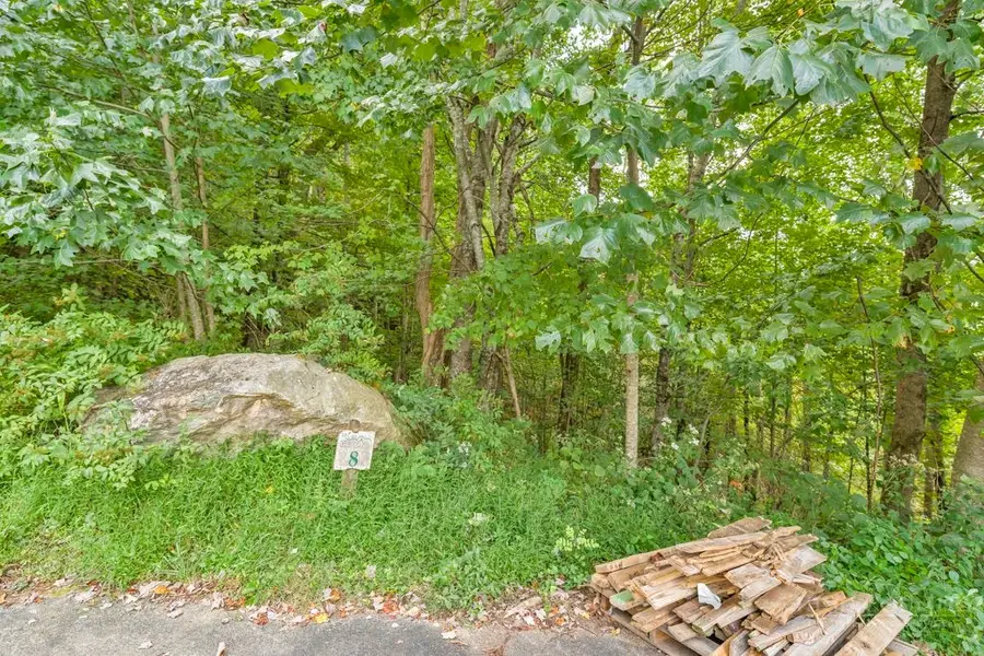 TBD Big Rock Drive, Elk Park, NC 28622 - #3