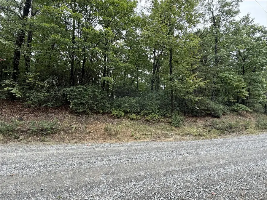 Lot 11 Bell Branch Road, Hays, NC 28635 - #2