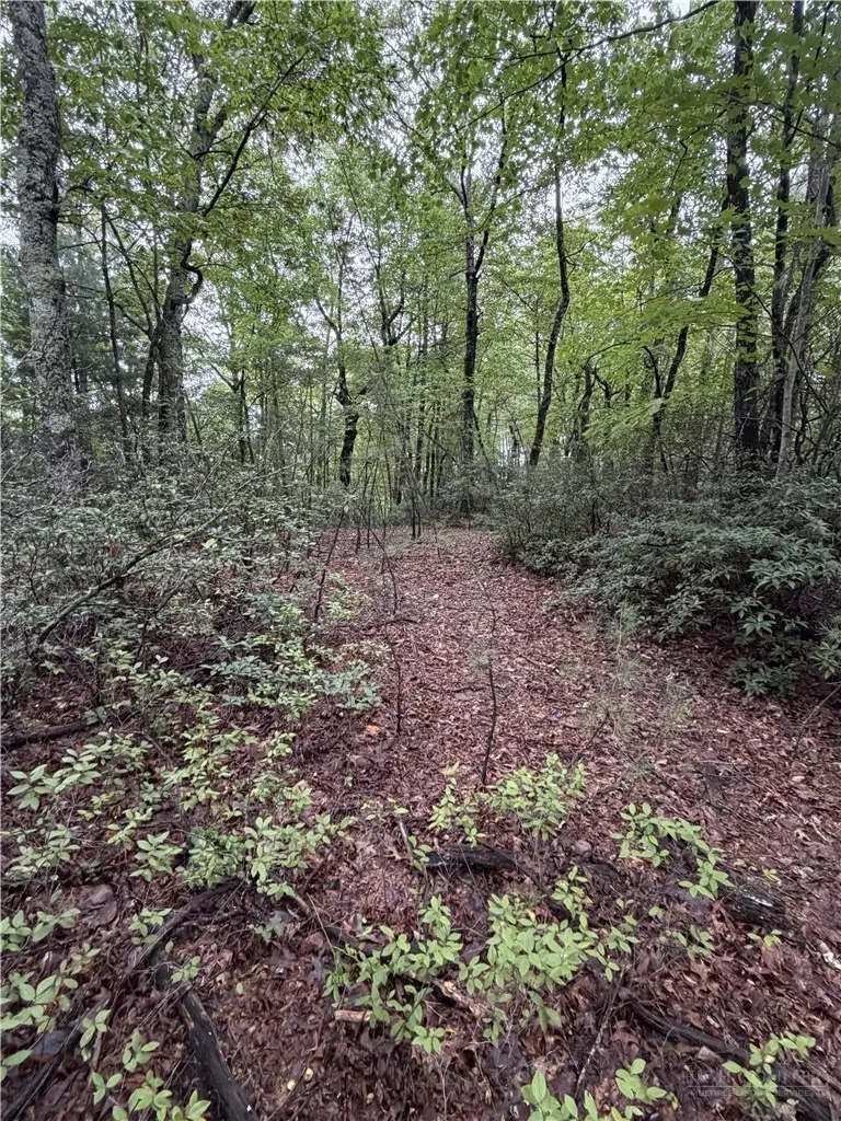 Lot 11 Bell Branch Road, Hays, NC 28635 - #3