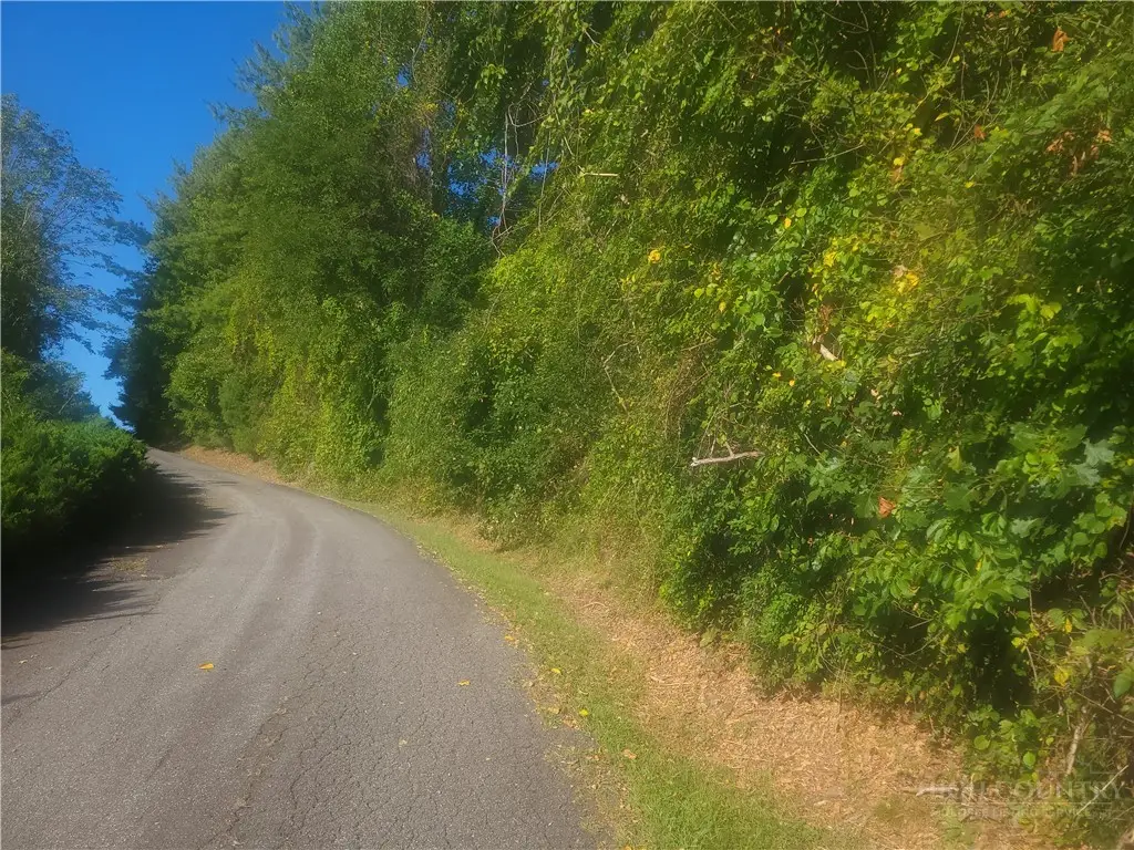 #2 Holly Hill Drive, Sparta, NC 28675 - #1