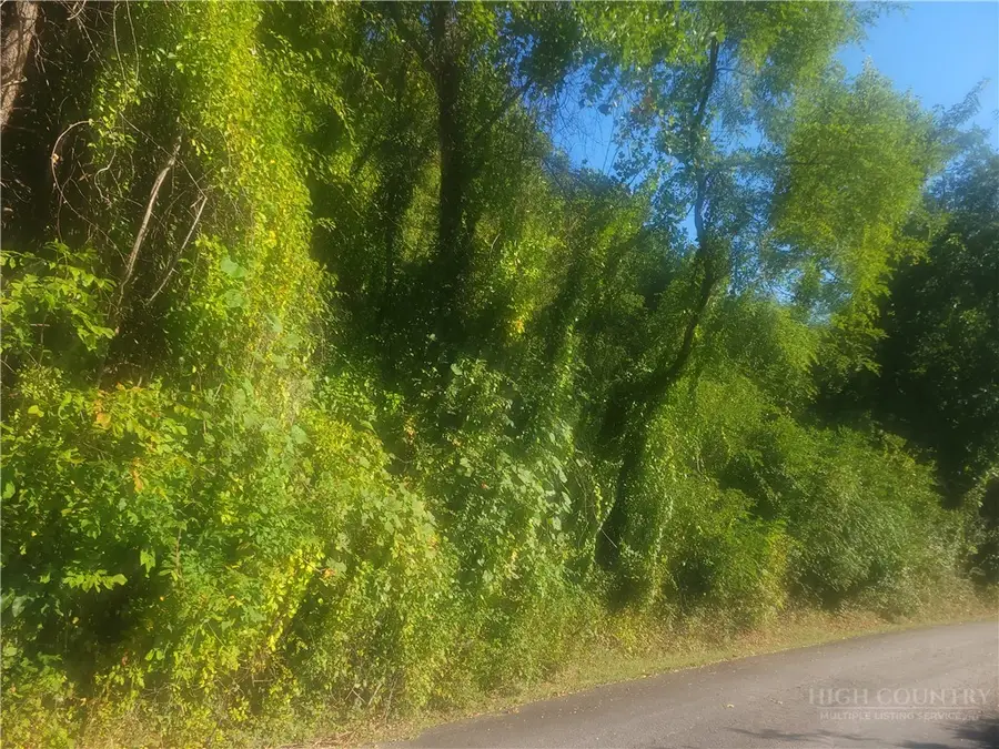 #2 Holly Hill Drive, Sparta, NC 28675 - #2