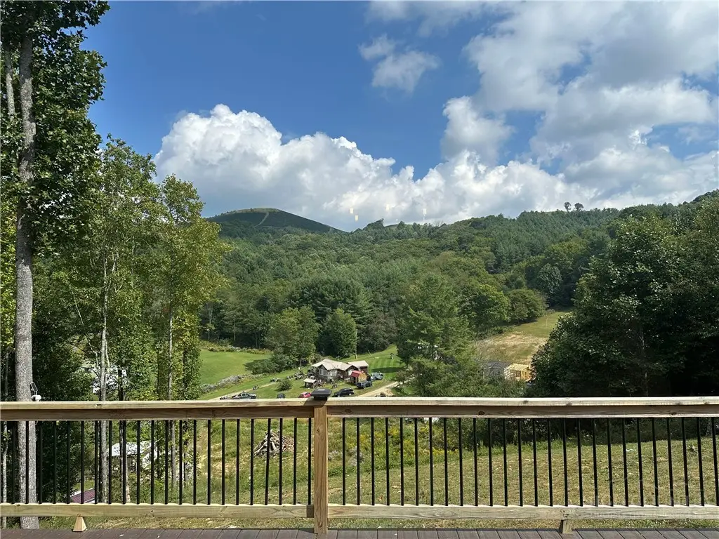2832 Roaring Fork Road, Creston, NC 28615 - #1