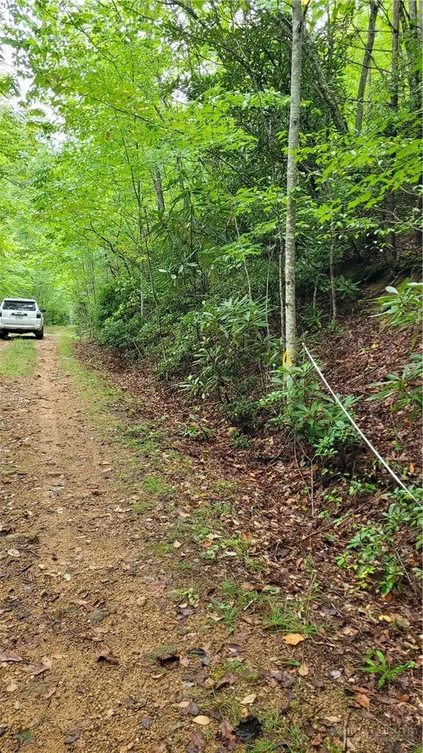 xx Gumtree Road, Beech Mountain, NC 28604