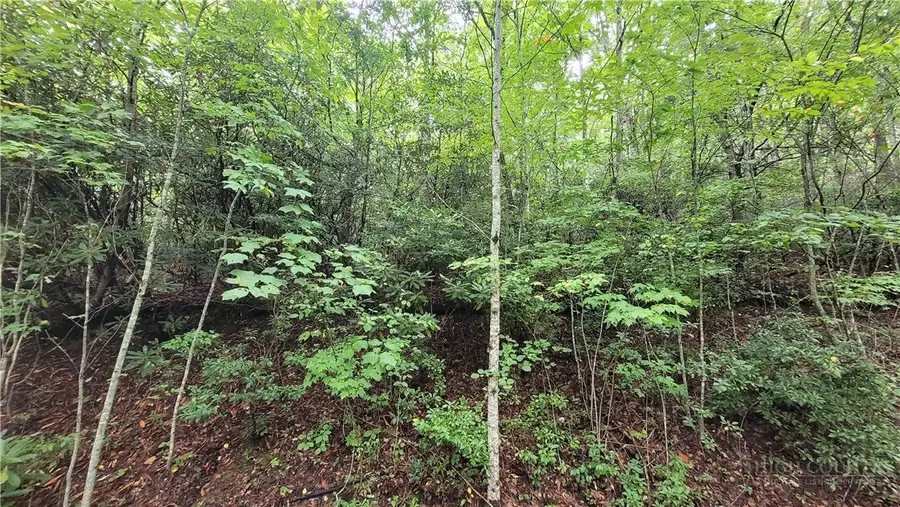 xx Gumtree Road, Beech Mountain, NC 28604 - #3