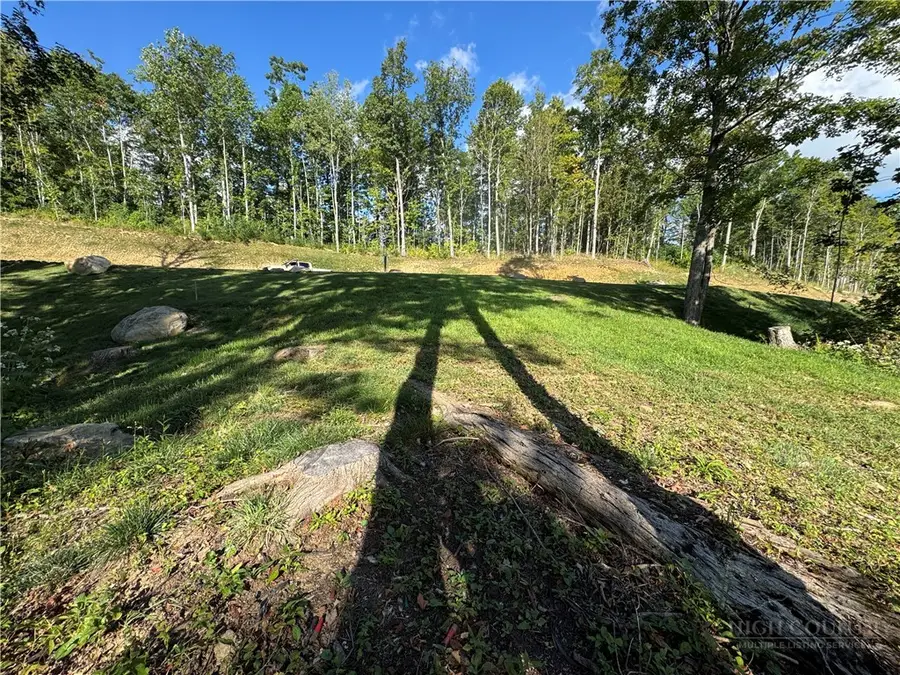 Lot 97 Bear Paw Road, Elk Park, NC 28622 - #2