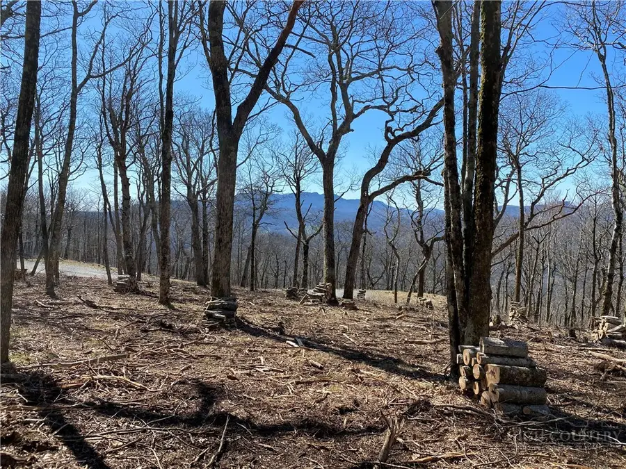 TBD (Lot 8) Chappell Farm Road, Banner Elk, NC 28604 - #2
