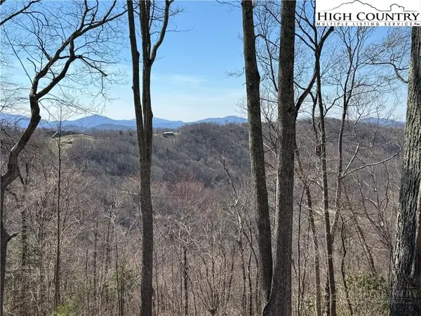 EC10 Eagle Crest Trail, Elk Park, NC 28622