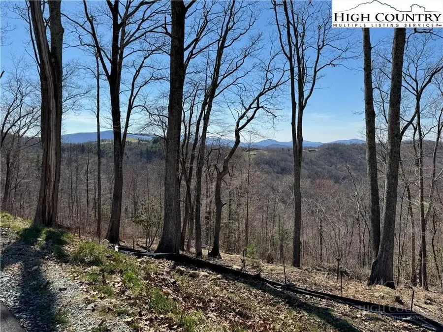 EC10 Eagle Crest Trail, Elk Park, NC 28622 - #2