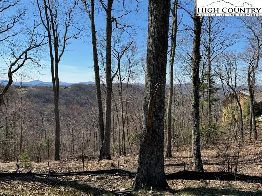EC10 Eagle Crest Trail, Elk Park, NC 28622 - #3