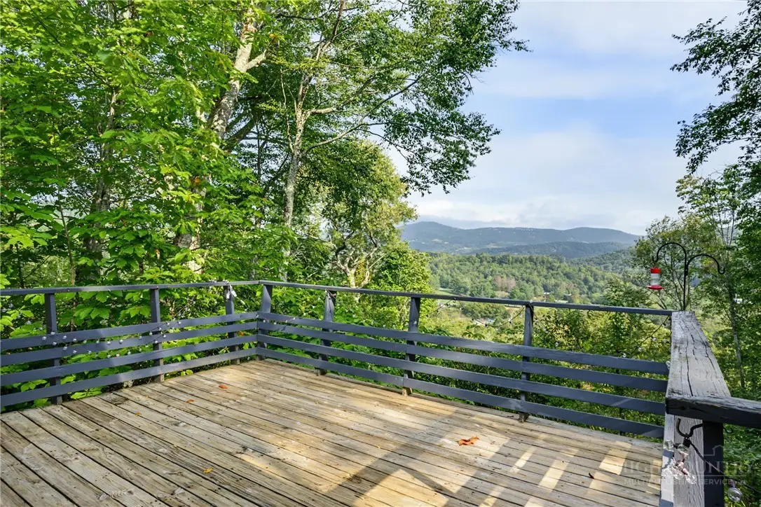121 Park Lane, Sugar Mountain, NC 28604 - #1