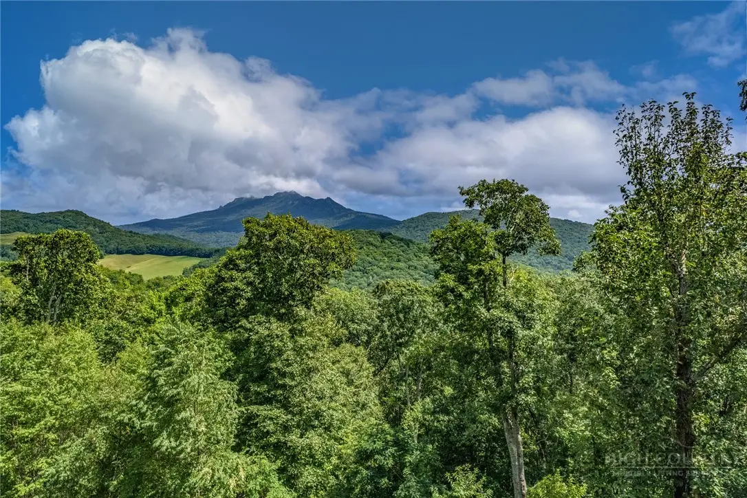 153 Linville Oaks Drive, Linville, NC 28657 - #1