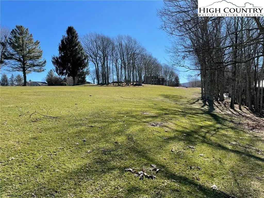 493 Saint Andrews Road, Beech Mountain, NC 28604 - #1