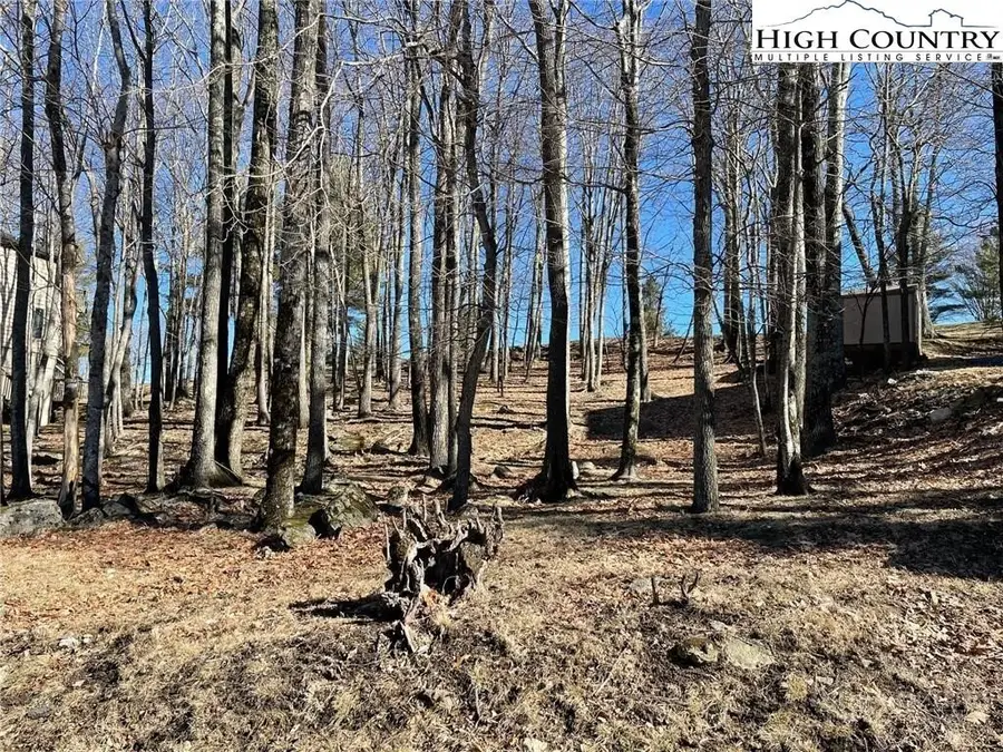 493 Saint Andrews Road, Beech Mountain, NC 28604 - #2