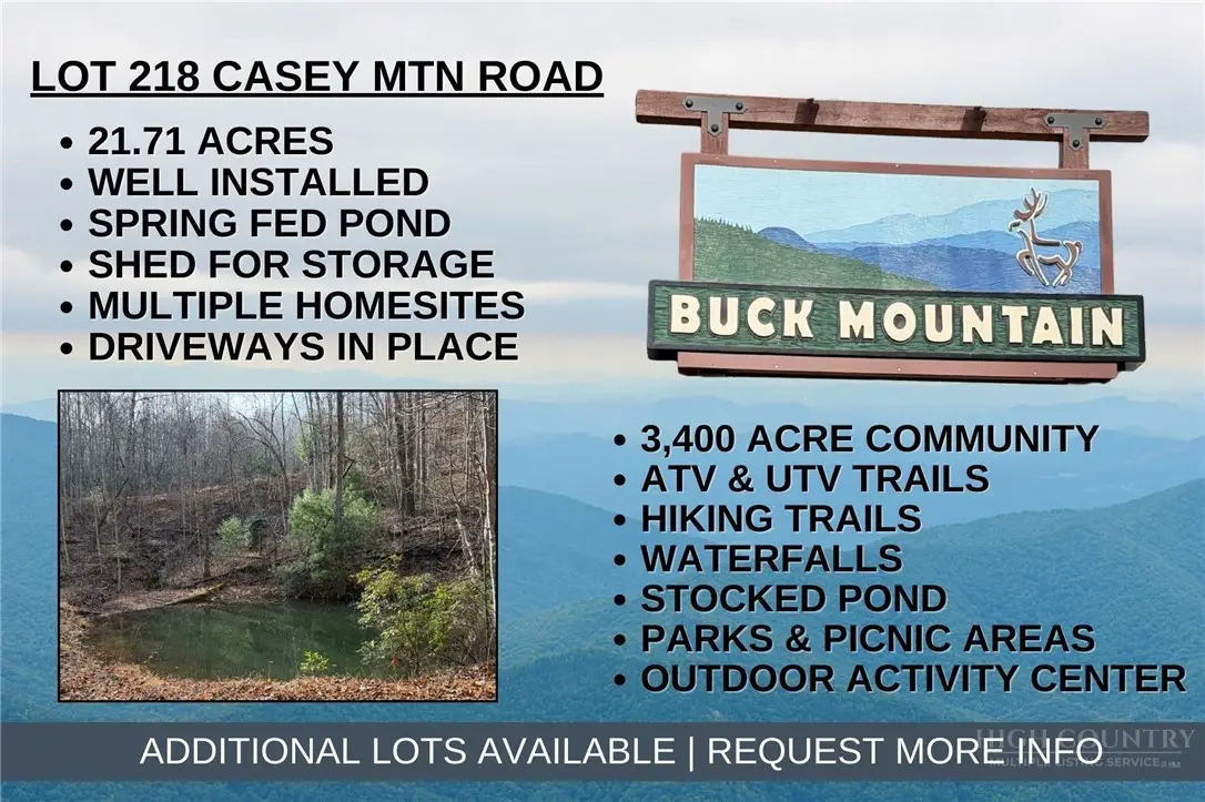 Lot 218 Casey Mountain Road, Purlear, NC 28665 - #1