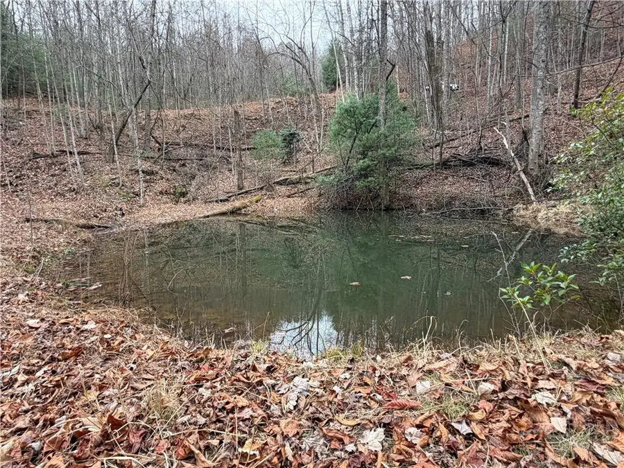 Lot 218 Casey Mountain Road, Purlear, NC 28665 - #2