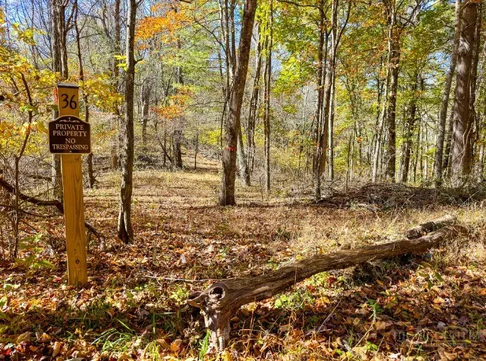 Lot 36 Deer Trail, Crumpler, NC 28617 - #1