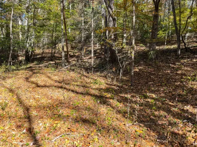 Lot 36 Deer Trail, Crumpler, NC 28617 - #3