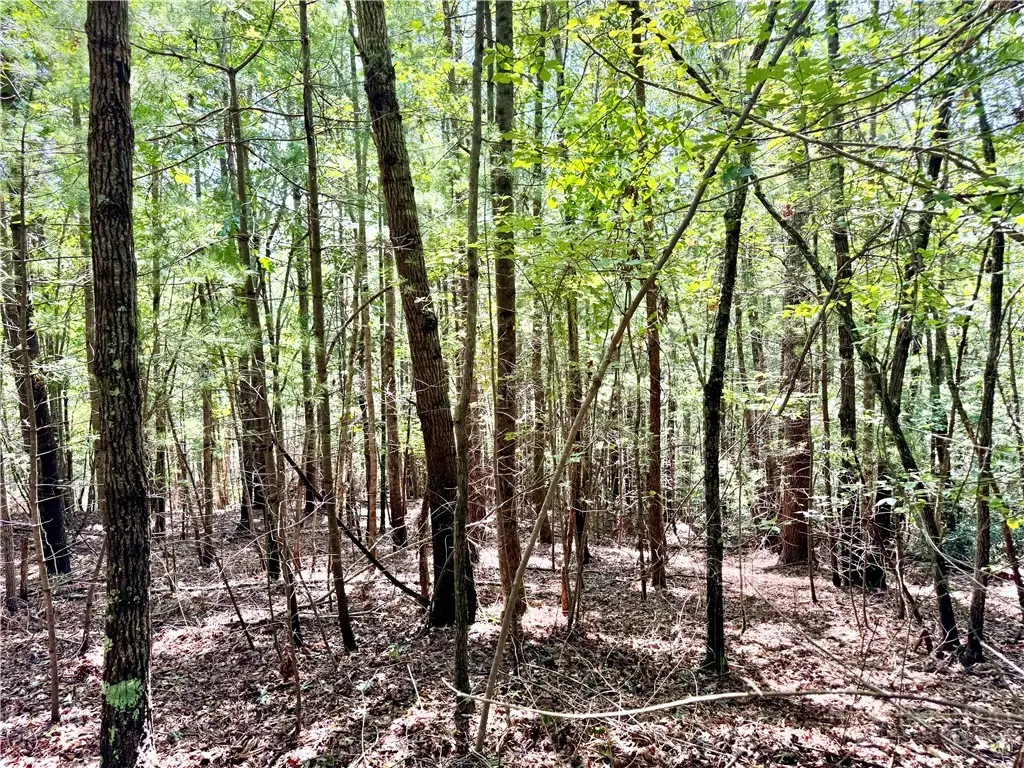 3.31 acres, Lot 37 Poplar Bluff Drive, Lenoir, NC 28645 - #1