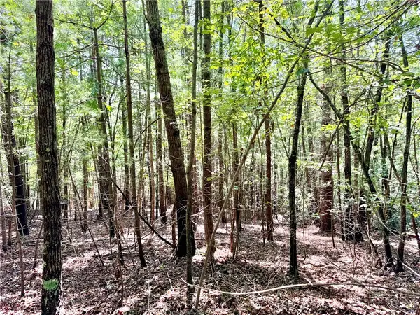 3.31 acres, Lot 37 Poplar Bluff Drive, Lenoir, NC 28645