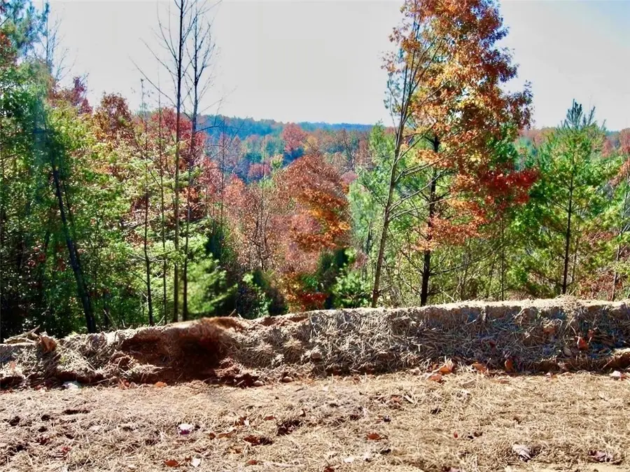 3.31 acres, Lot 37 Poplar Bluff Drive, Lenoir, NC 28645 - #2