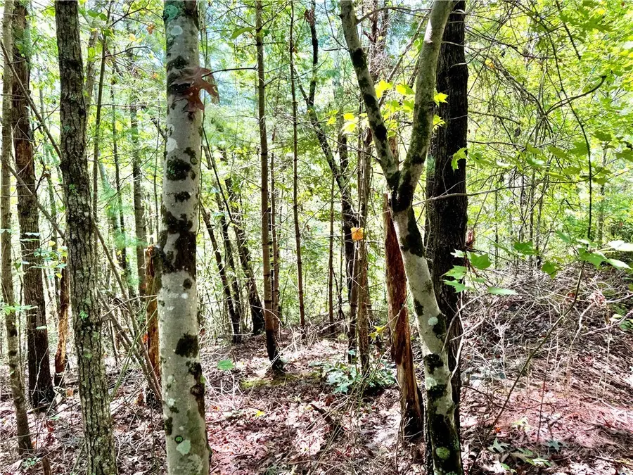3.31 acres, Lot 37 Poplar Bluff Drive, Lenoir, NC 28645 - #3