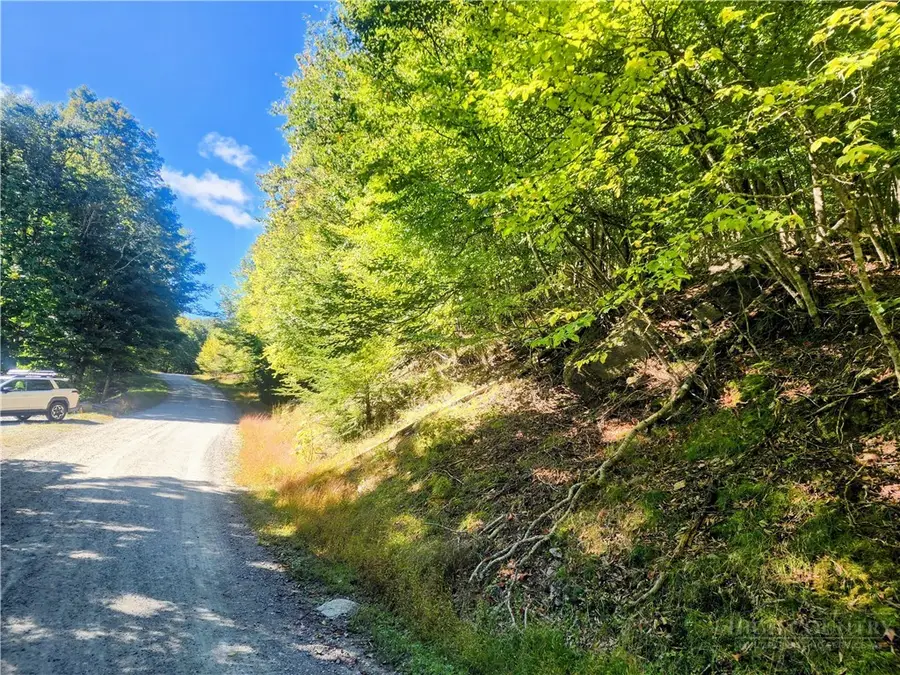 113 E Blueberry Lane, Beech Mountain, NC 28604 - #2