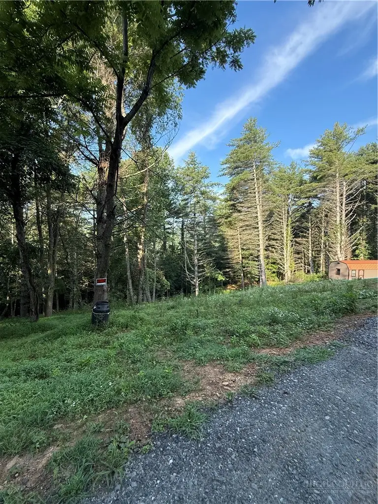 915, 951 Qc Smith Road, West Jefferson, NC 28694 - #2