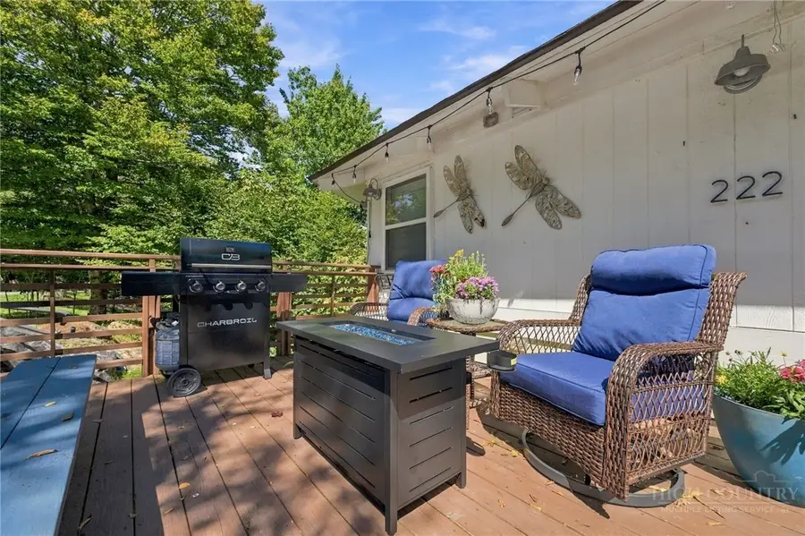 222 Birchwood Lane, Beech Mountain, NC 28604 - #3