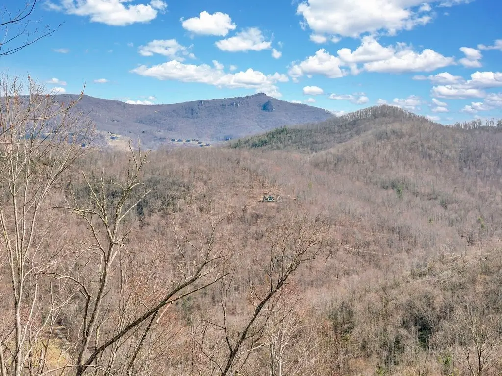 110 Blacksmith Court, Elk Park, NC 28622 - #1