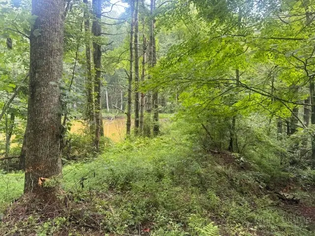 TBD Thistle Hill Lane, Jefferson, NC 28640 - #1