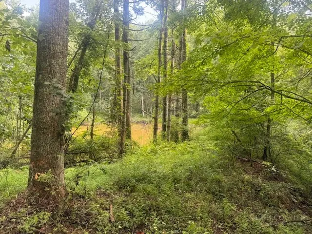 TBD Thistle Hill Lane, Jefferson, NC 28640 - #2