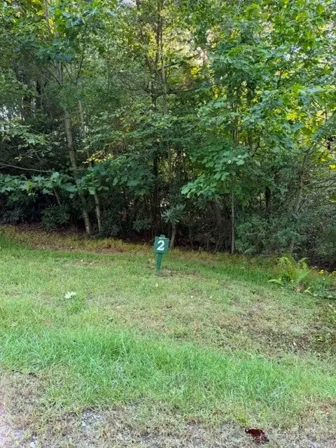 TBD Fishers Peak View, Ennice, NC 28623 - #2