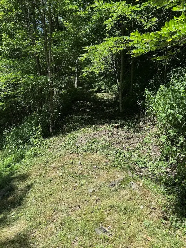 TBD Lot B5 Little Tree Road, West Jefferson, NC 28694