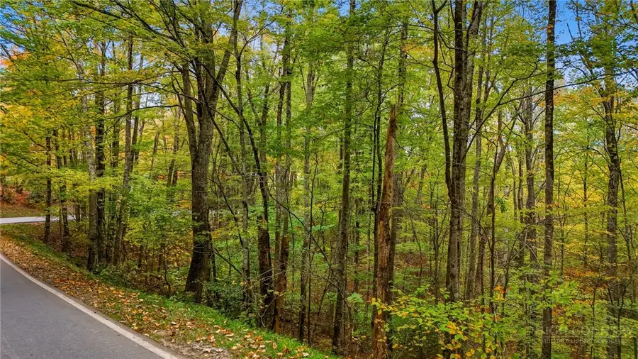 TBD Wren Way, Banner Elk, NC 28604 - #2