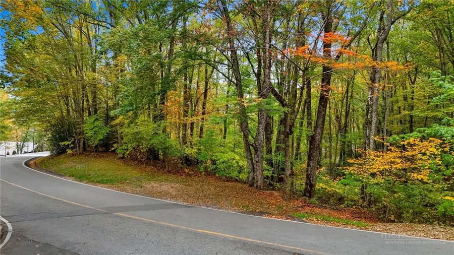 TBD Wren Way, Banner Elk, NC 28604 - #3