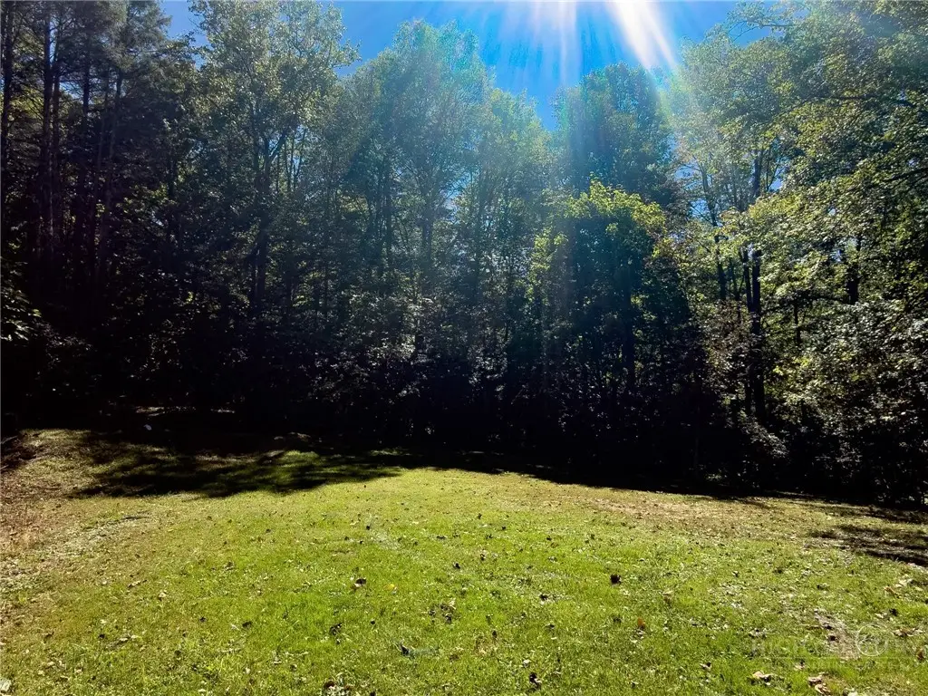 280 Ferncliff Drive, Elk Park, NC 28622 - #1