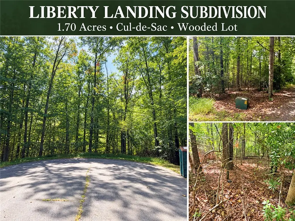 Lot 45 Peace Street, Fleetwood, NC 28626 - #1