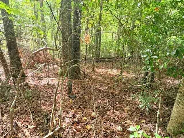 Lot 45 Peace Street, Fleetwood, NC 28626 - #3