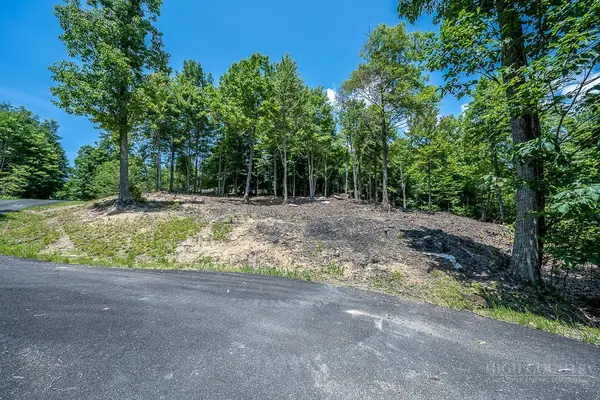 Lot 81 TBD Bear Creek Road, Elk Park, NC 28622