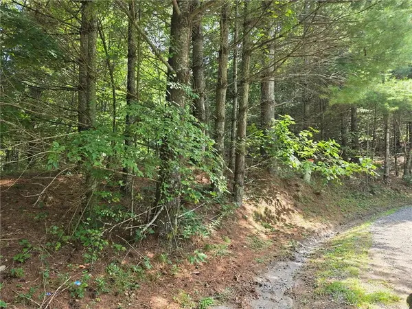 Lot 78 Green Meadows, Todd, NC 28684