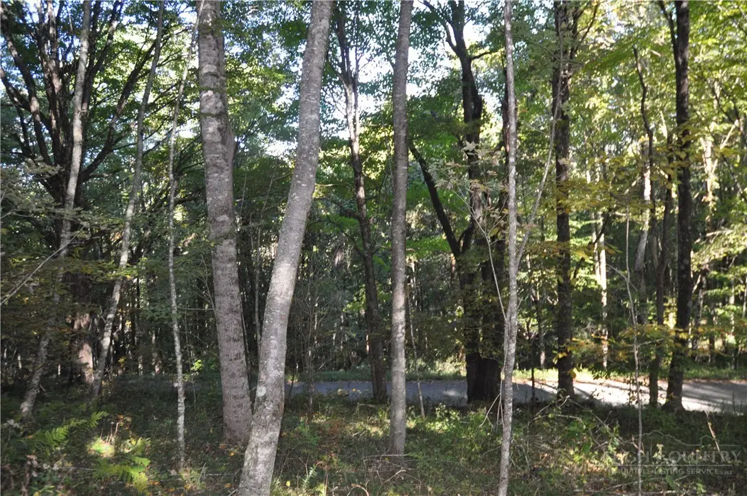 TBD E. Whenlin Ridge Road, Lansing, NC 28643 - #1