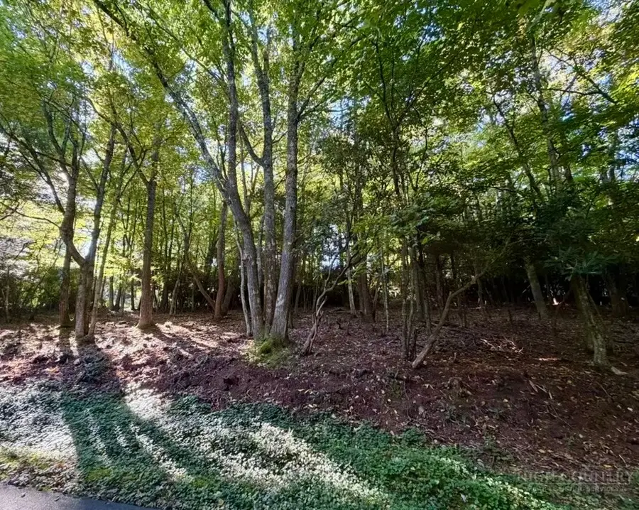 Lot 42 Crestwood Circle, Newland, NC 28657 - #2