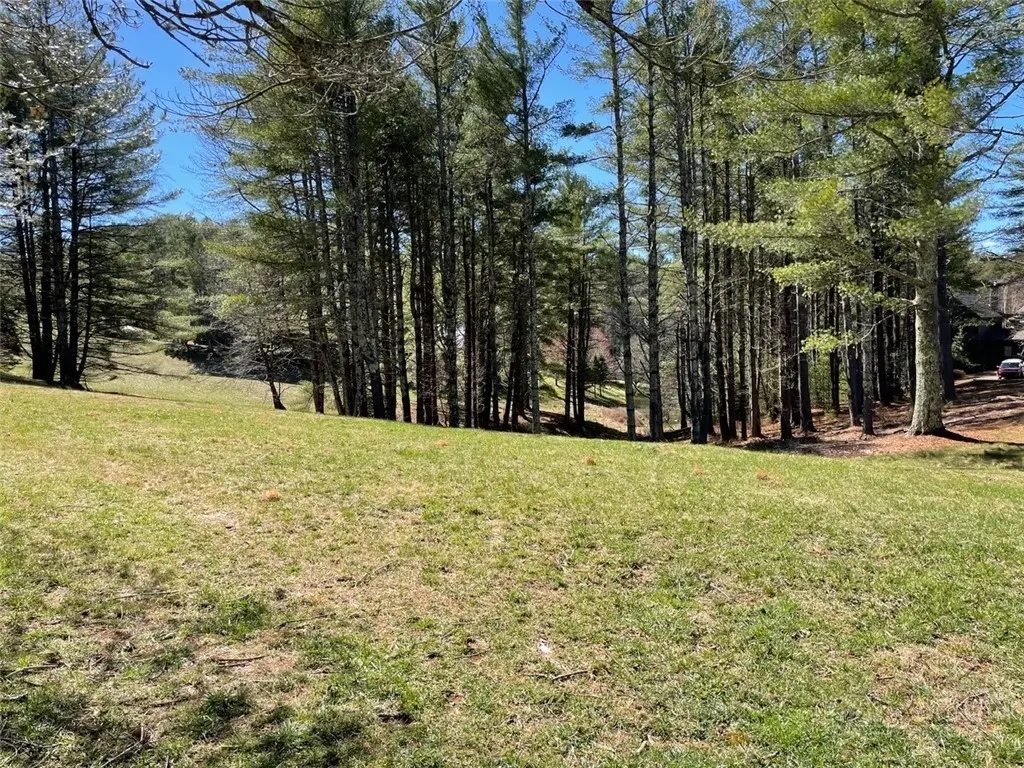 TBD Little Harbour Court, Vilas, NC 28692 - #1