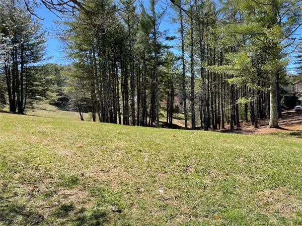 TBD Little Harbour Court, Vilas, NC 28692