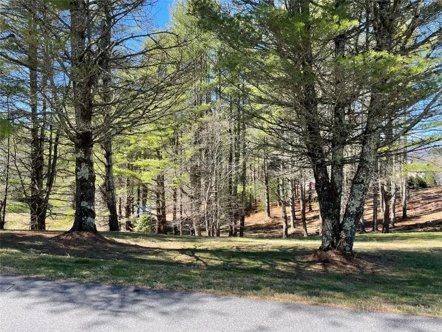 TBD Little Harbour Court, Vilas, NC 28692 - #2